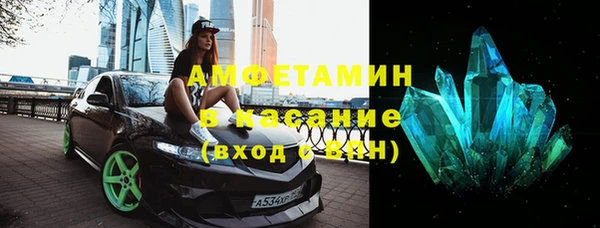 гашик Алексин