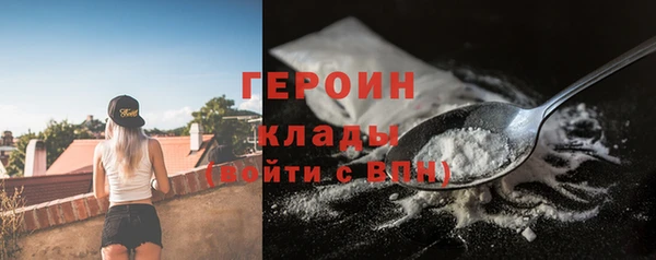 гашик Алексин