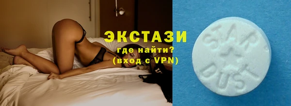 гашик Алексин