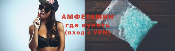 сатива Алзамай
