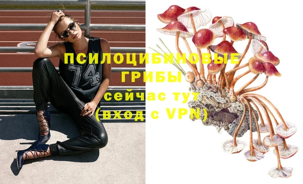 MDMA Premium VHQ Алексеевка