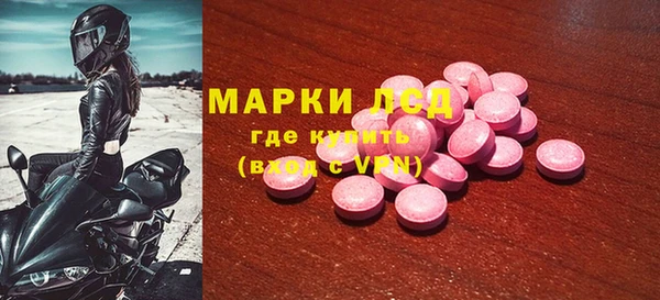 гашик Алексин