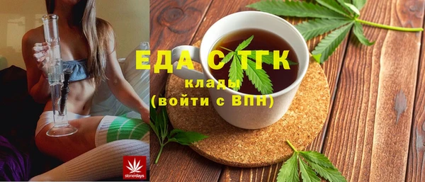 гашик Алексин